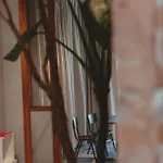 ホテル Man Met Bril Koffie *