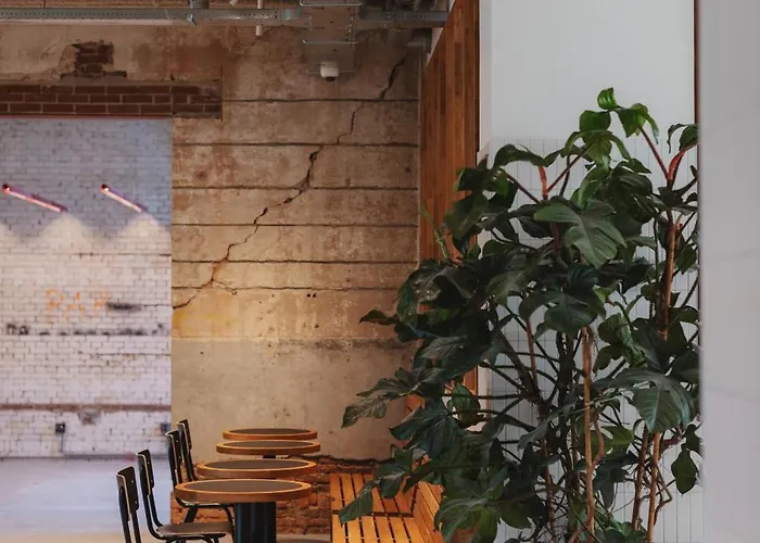 Man Met Bril Koffie Hotel Róterdam